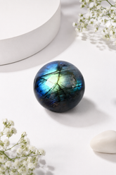 Labradorite- Shield 🛡️