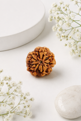 Kashi Siddh Nepal Origin Nirakar Rudraksha (0 Mukhi) - 17mm to 22mm