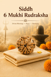Kashi Siddh Nepal Origin 6 Mukhi Rudraksha - 17mm to 22mm
