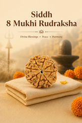 Kashi Siddh Nepal Origin 8 Mukhi Rudraksha - 17mm to 22mm