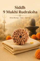 Kashi Siddh Nepal Origin 9 Mukhi Rudraksha - 17mm to 22mm