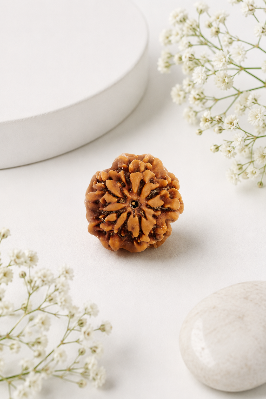 Kashi Siddh Nepal Origin Nirakar Rudraksha (0 Mukhi) - 17mm to 22mm