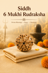 Kashi Siddh Nepal Origin 6 Mukhi Rudraksha - 17mm to 22mm