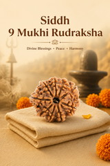 Kashi Siddh Nepal Origin 9 Mukhi Rudraksha - 17mm to 22mm